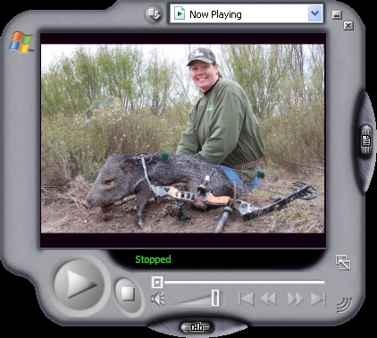 South Texas Javelina Hunting