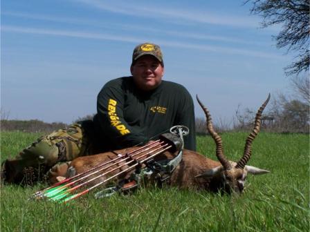 Blackbuck Antelope